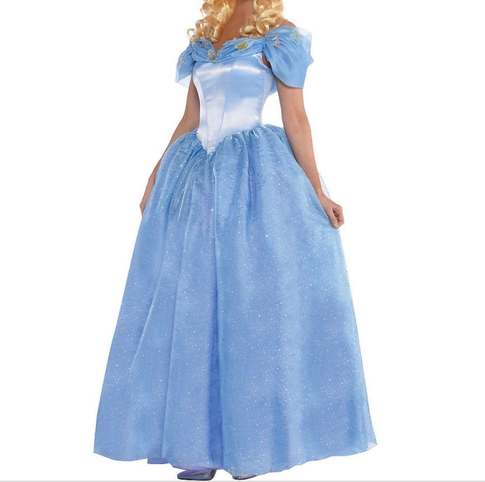 Cinderella costume